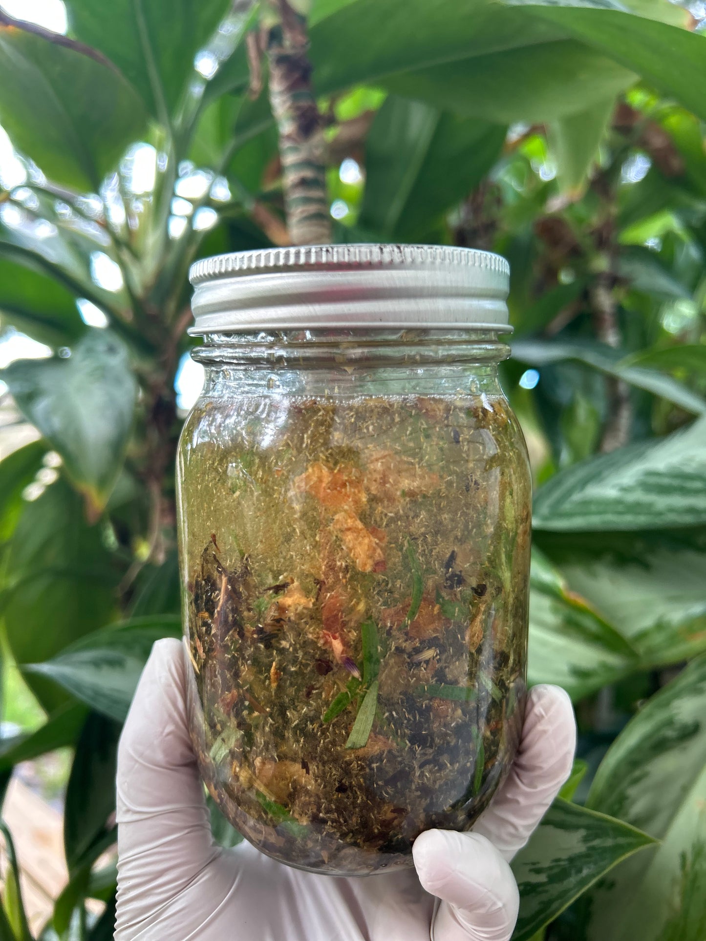 Lost in the Garden ~ Body Oil