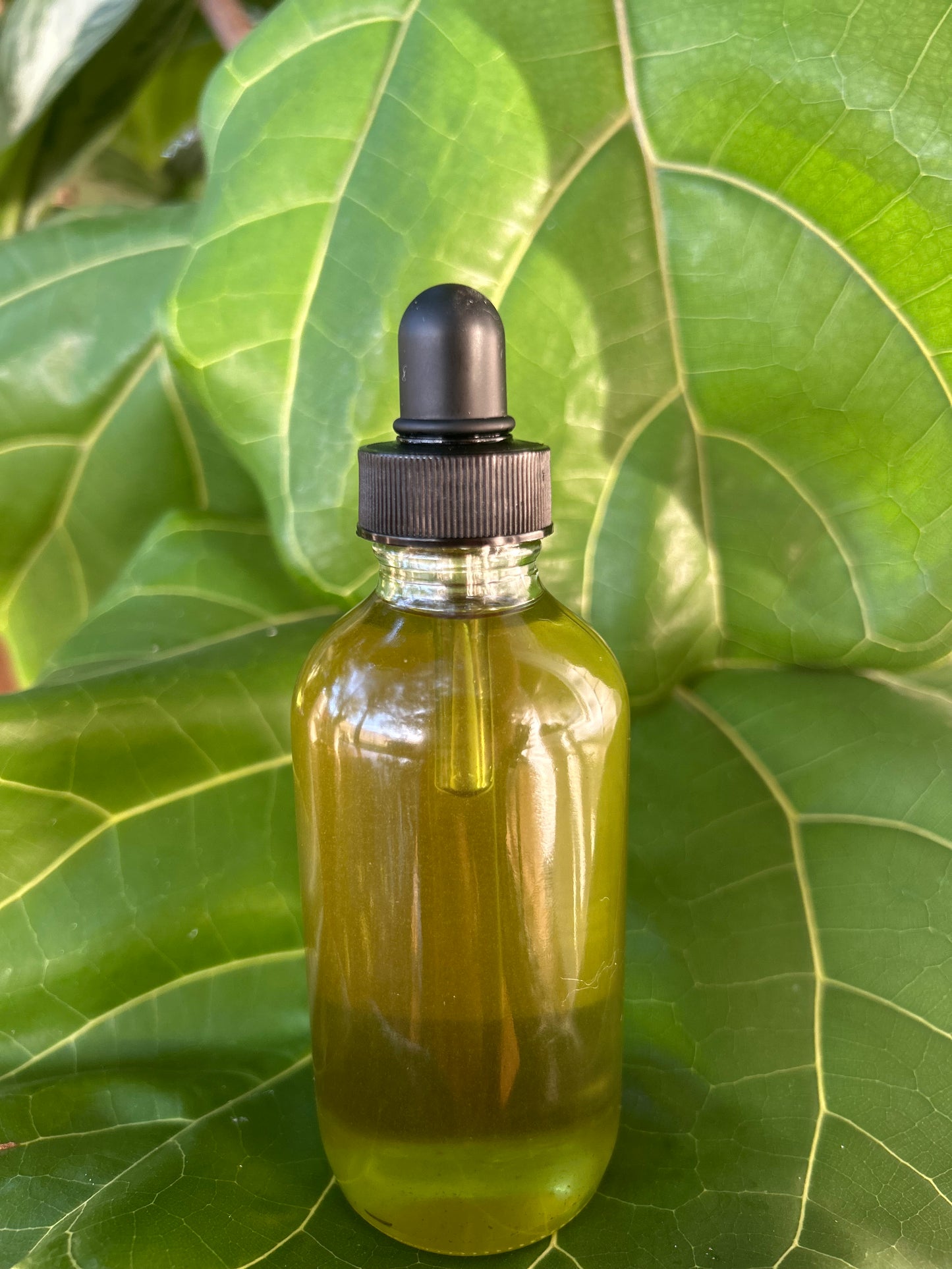 Root Revival
