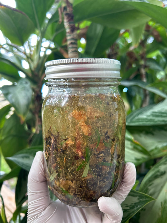 Lost in the Garden ~ Body Oil